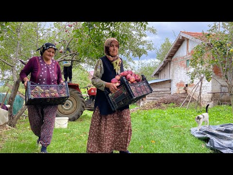 Видео: Деревенская жизнь. Повседневная жизнь семьи в горах. Документальный фильм.