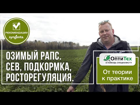 Видео: Озимый рапс. Особенности подкормки. Немного о росторегуляции и севе.