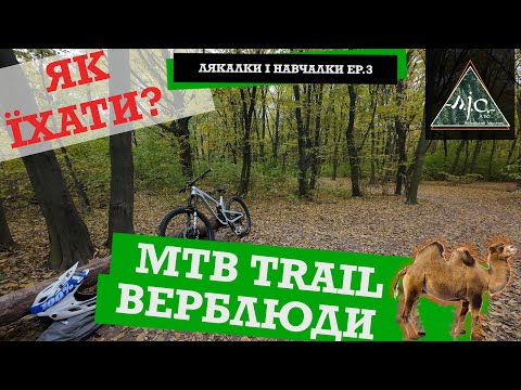 Видео: MTB Мишоловка: TRAIL Верблюди