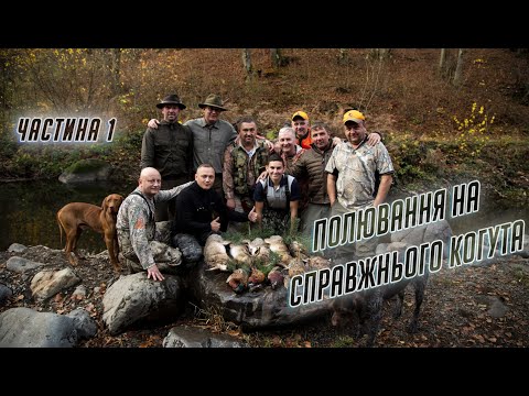 Видео: Фантастичне полювання в Закарпатті та традиції посвячення у мисливці