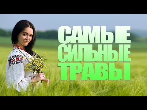 Видео: САМЫЕ СИЛЬНЫЕ ЛЕКАРСТВЕННЫЕ ТРАВЫ