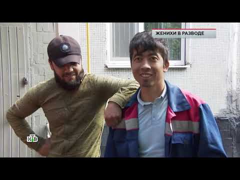 Видео: Женихи в разводе НТВ