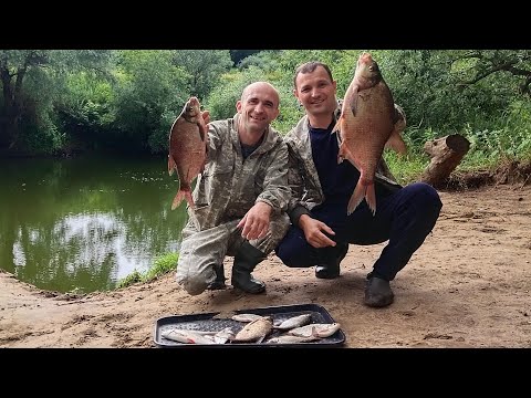 Видео: река ПРОТВА.  ТУТ РЫБА ЕСТЬ!!!  Всё просто, кто кормит тот ловит☝️