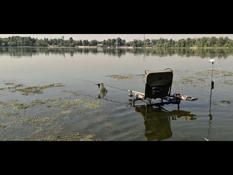 Видео: Рыбалка на фидер. Залив Верблюд. В поисках леща.