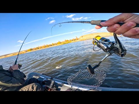 Видео: ТУТ МАССА СУДАКА, ТАК ВОТ ЧТО ЕГО ДЕРЖАЛО ТУТ  Рыбалка на спиннинг в 2025