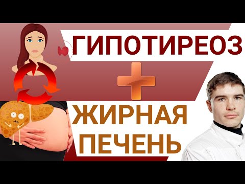 Видео: ГипоТиреоз и Ожирение Печени. Что вылечило жирную печень, не помогло щитовидной железе. Пора менять!