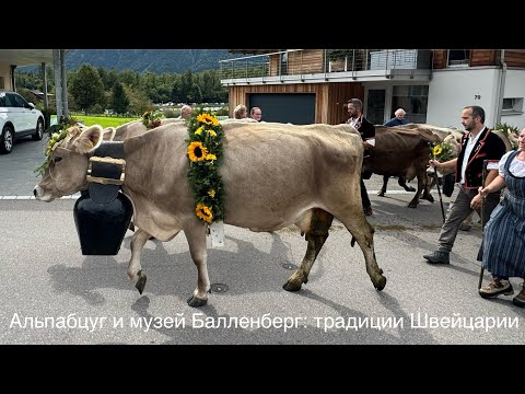 Видео: Альпабцуг и музей Балленберг: традиции Швейцарии 13 сентября 2025 года