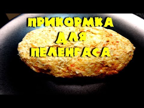Видео: Прикормка для пеленгаса.