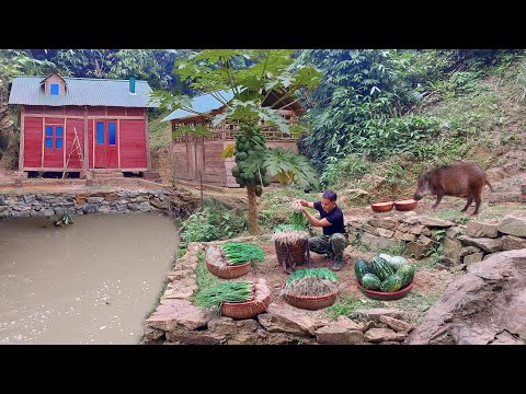 Видео: Уезжаю из города, поднимаюсь в горы в одиночку, чтобы выращивать и собирать органические овощи