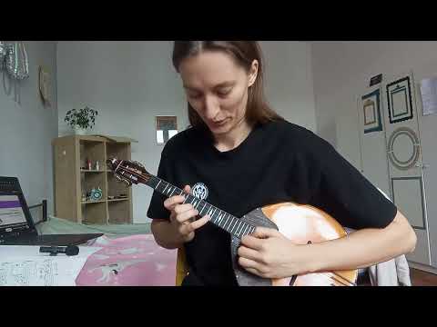 Видео: Граю на домрі "Лебідь" Сенс Санс. 