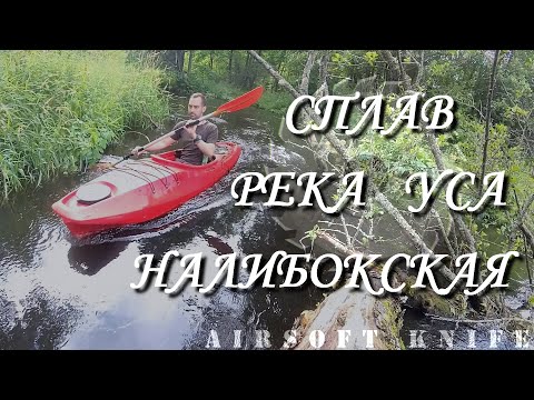 Видео: Сплав по реке Уса Налибокская