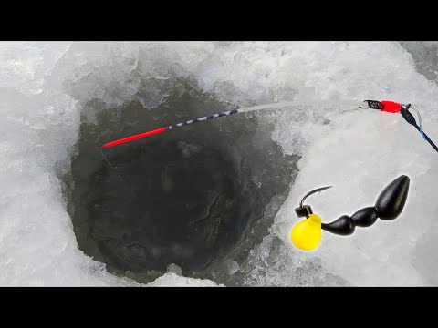 Видео: Рыбалка на БЕЗМОТЫЛКУ. ПЕРВЫЙ ЛЁД КРЕПНЕТ !