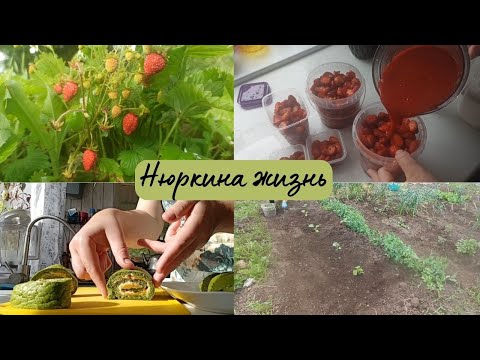 Видео: Заготовка клубники на зиму // Работа на участке // Пробую новый рецепт