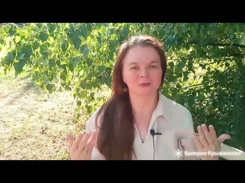 Видео: Практика трех "С" помогает настроить себя на желаемое состояние