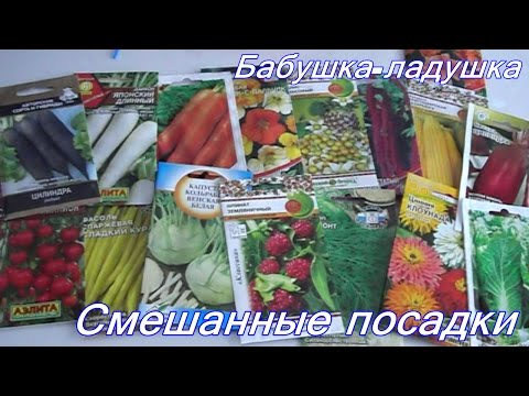 Видео: Смешанные посадки.Как собрать несколько урожаев с одной грядки.