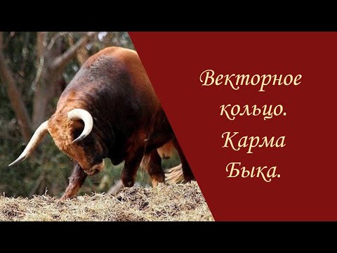 Видео: Векторное кольцо. Карма Быка.