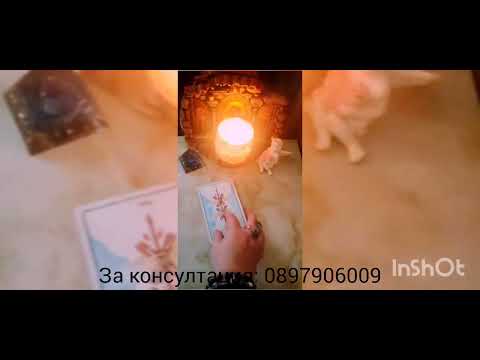 Видео: 💖🌟Неговия страх - защо бяга от вас 💖🌟