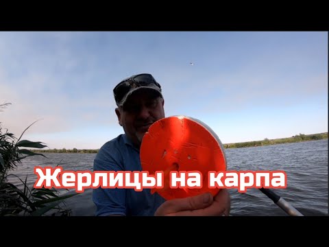Видео: р.Днестр Ловим карпа на кружки .База Белуга .