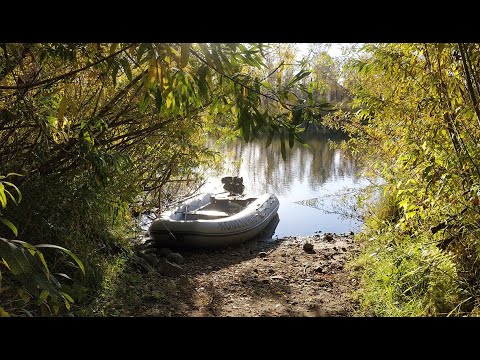 Видео: ТАЙДОН сентябрь 2022 г.