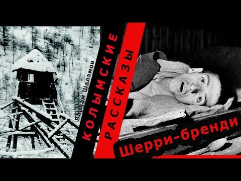 Видео: Варлам Шаламов. Колымские рассказы. Шерри-бренди |  🎧  Аудио рассказы