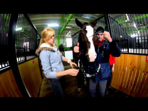 Видео: КОННЫЙ ПАРК