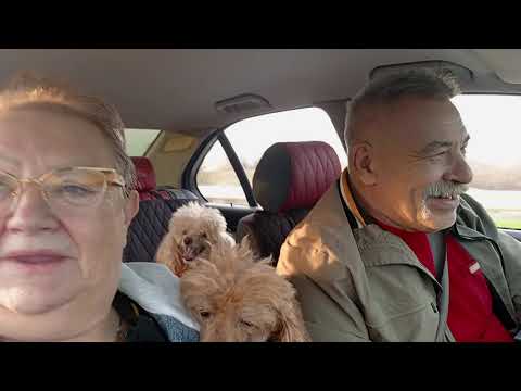 Видео: Иринка золотые ручки.