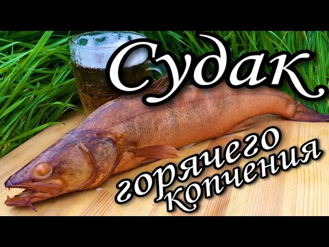Видео: Судак горячего копчения ENG SUB #судак #копчение