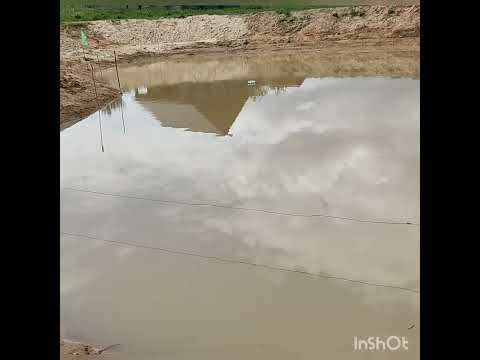 Видео: Борьба с цаплей