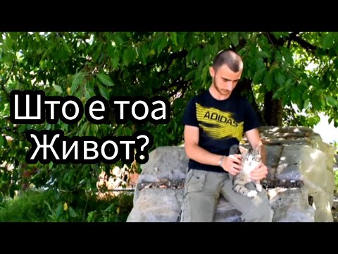 Видео: Што е тоа живот...?