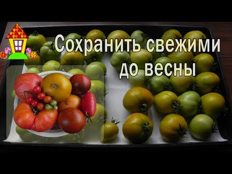 Видео: Хранение помидоров. Как сохранить помидоры свежими на зиму