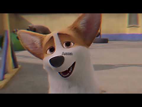 Видео: клип ||рекс и ванда|| не надо быть сильной (заказ)