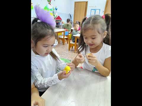 Видео: "Қүлыншақ" тобымен микроөскін ектік