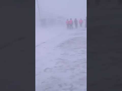 Видео: харасавэй ГСП-2