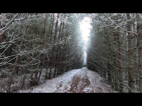 Видео: Часть 2. д. Погребенка -д. Симохи.