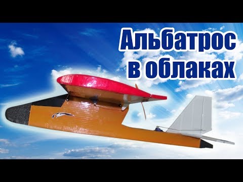 Видео: Полеты Альбатроса / ALNADO Live