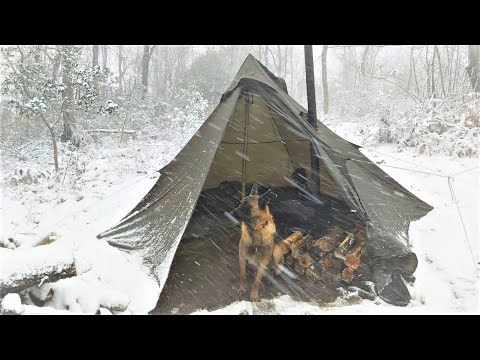 Видео: 4 дня зимний кемпинг в метель с моей собакой, фильм о природе, метель