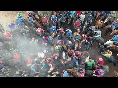 Видео: Аламан 2022 | Алай, Гүлчө | Уюштуруучу: Гүлчө 1986