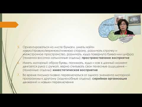 Видео: Вебинар - Все про развитие детей. Нейропсихологические приемы.