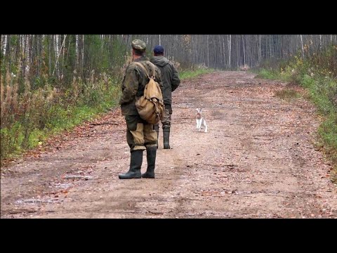 Видео: РГ Забава 4942-20/0020-3 д.р. 05.07.20г. вл. Тихомиров М.Е.