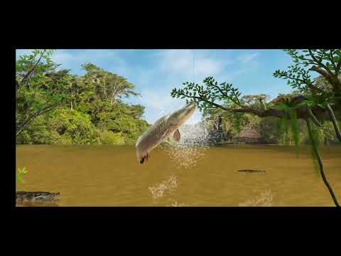 Видео: Fishing Clash. Амазонка #2