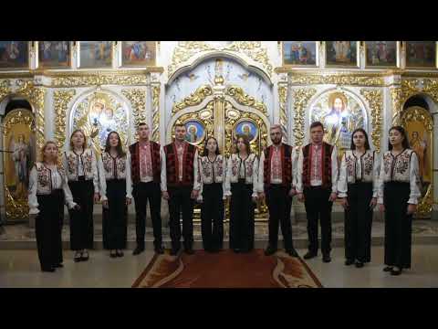 Видео: НАВА "Соколи" та вокальний ансамбль "Дивосвіт" - Роди, Боже, жито