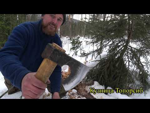 Видео: Соболь на проверке брака