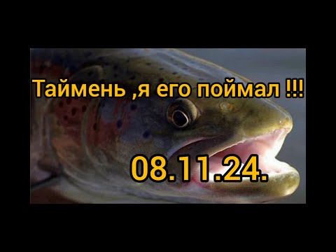 Видео: Ну наконец то достойный Таймень ! Экстремальная рыбалочка !!!