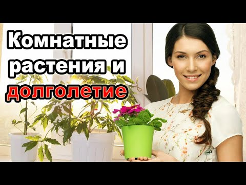 Видео: 🌿 Комнатные растения СПАСАЮТ ЖИЗНЬ! Учёные в шоке! 😱🔥