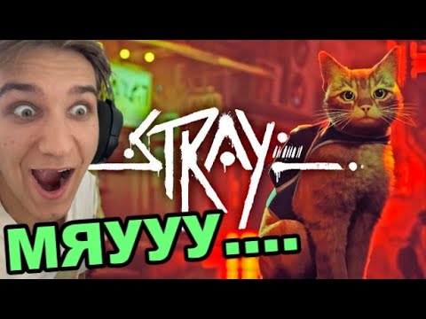 Видео: Аз съм КОТКААА! - Stray #1