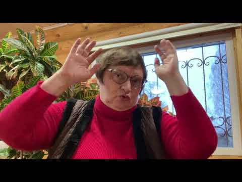 Видео: Воспитание ребенка Дюма