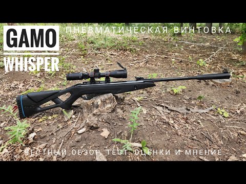 Видео: Пневматическая винтовка Gamo Whisper IGT. Обзор, тест, оценки.