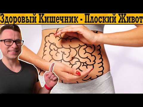 Видео: Здоровый Кишечник - Плоский Живот!