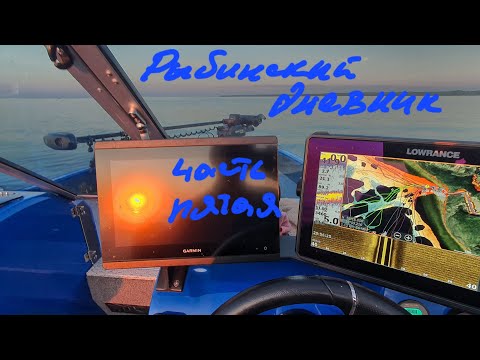 Видео: Живу на Рыбинке. Ловлю сомов и судаков. Куда катится паноптикс.