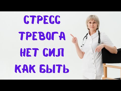 Видео: Стресс, тревога, нет сил. Как быть? Доктор Лисенкова